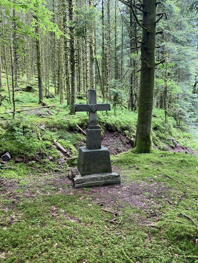 Boucle Cascade du Géhard — Étang de Villerain — photo 36