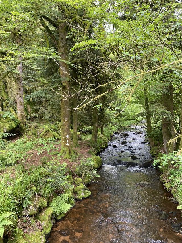 Boucle Cascade du Géhard — Étang de Villerain — photo 37