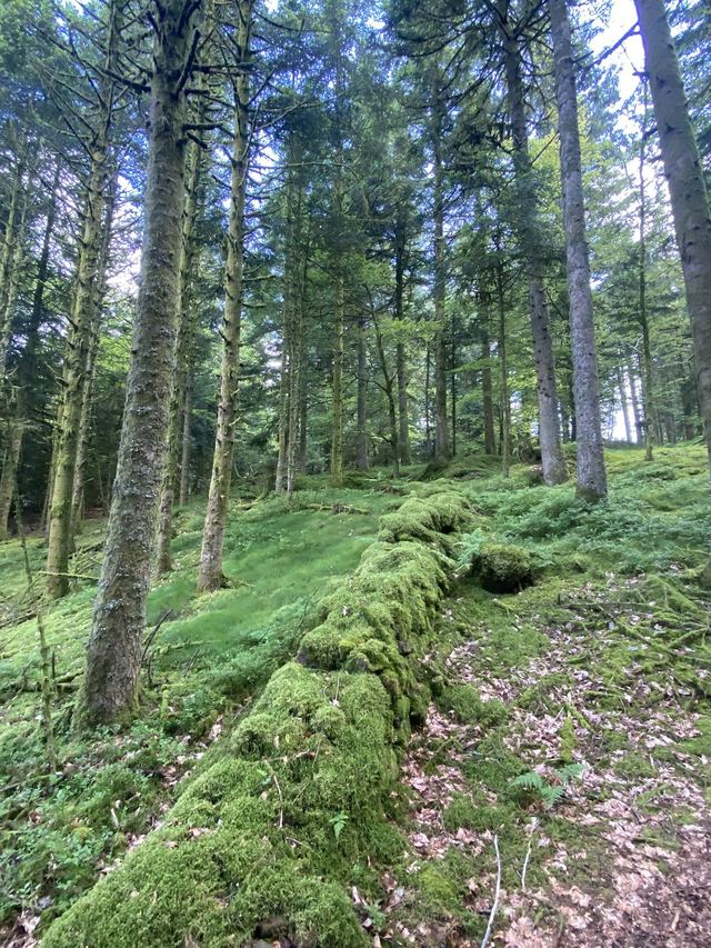 Boucle Cascade du Géhard — Étang de Villerain — photo 38