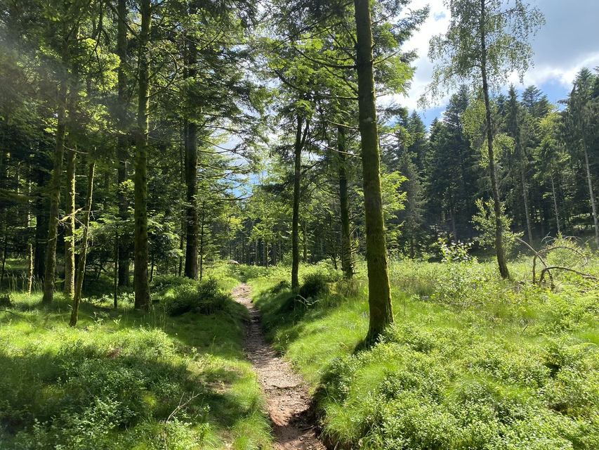 Boucle Cascade du Géhard — Étang de Villerain — photo 39