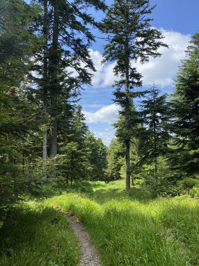 Boucle Cascade du Géhard — Étang de Villerain — photo 41
