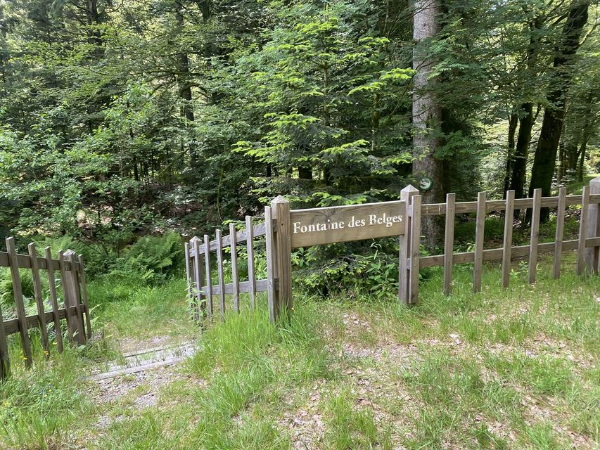 Boucle Cascade du Géhard — Étang de Villerain — photo 43