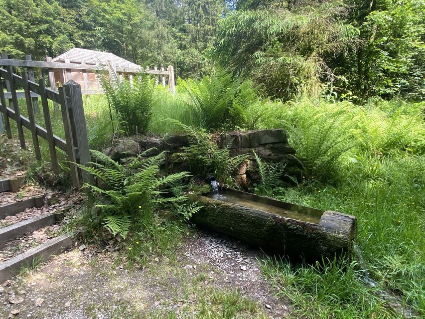 Boucle Cascade du Géhard — Étang de Villerain — photo 44