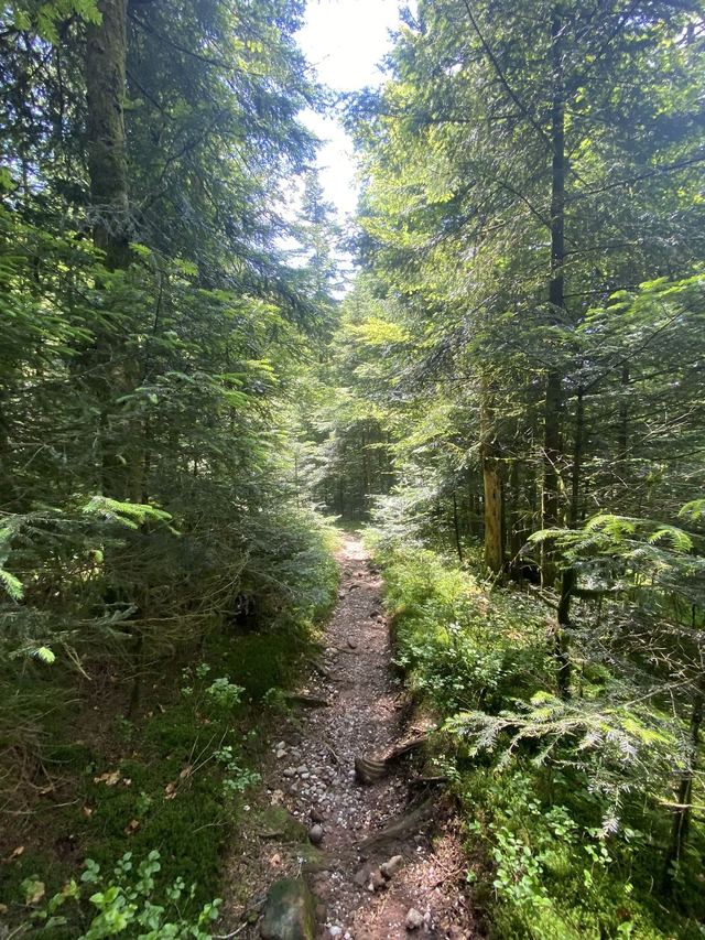 Boucle Cascade du Géhard — Étang de Villerain — photo 47