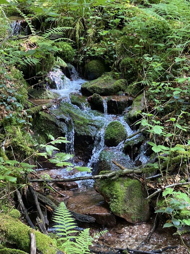 Boucle Cascade du Géhard — Étang de Villerain — photo 48