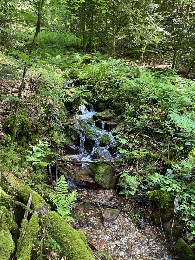 Boucle Cascade du Géhard — Étang de Villerain — photo 49