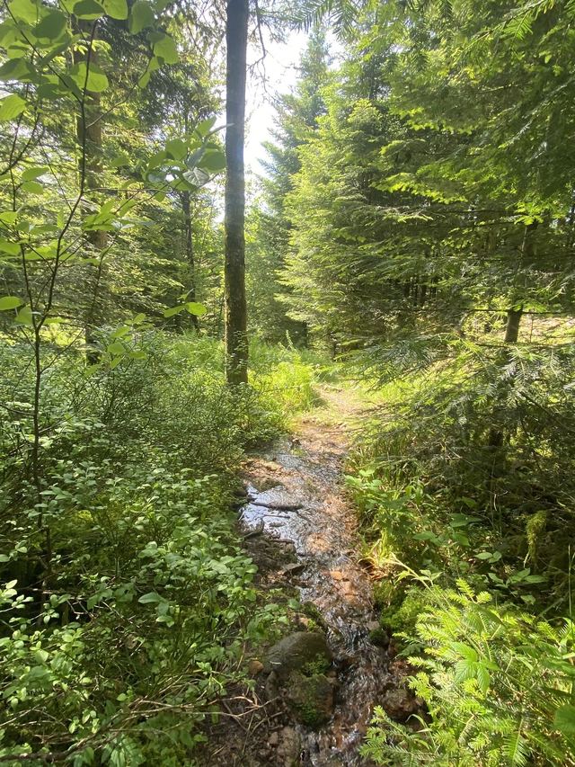 Boucle Cascade du Géhard — Étang de Villerain — photo 51