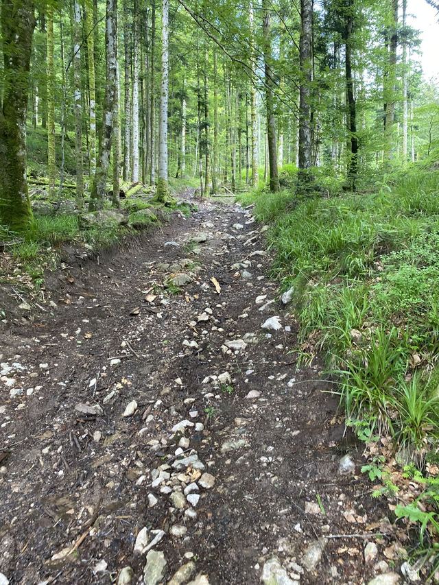 Boucle Cascade du Géhard — Étang de Villerain — photo 52