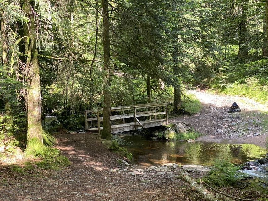 Boucle Cascade du Géhard — Étang de Villerain — photo 53