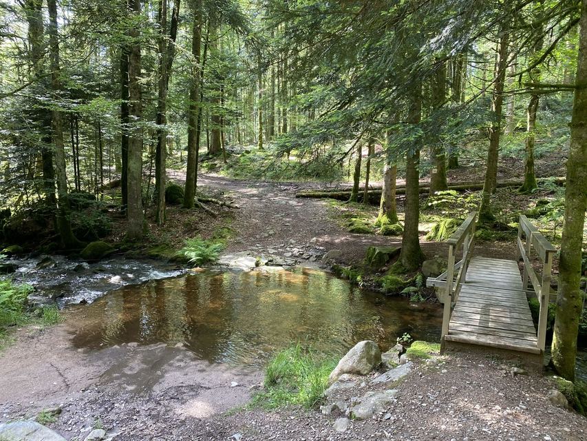 Boucle Cascade du Géhard — Étang de Villerain — photo 54