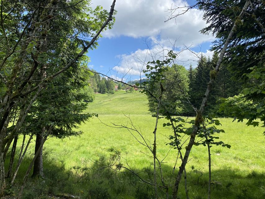Boucle Cascade du Géhard — Étang de Villerain — photo 55
