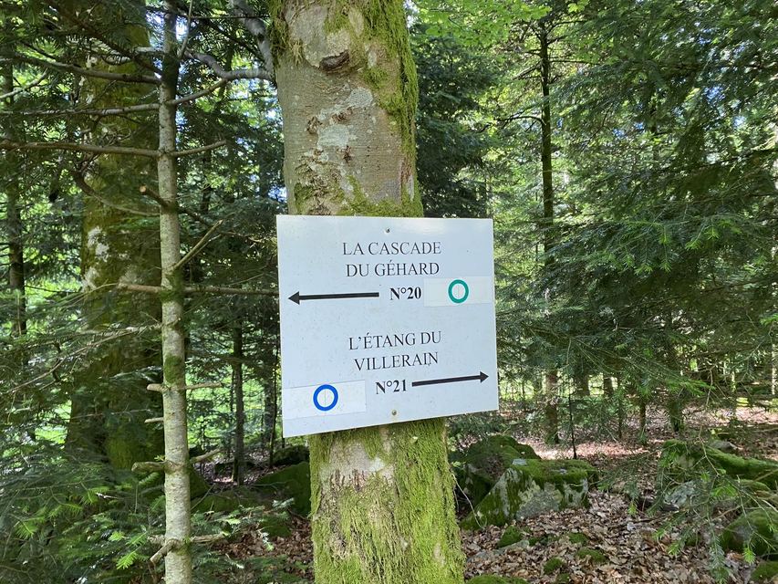 Boucle Cascade du Géhard — Étang de Villerain — photo 56