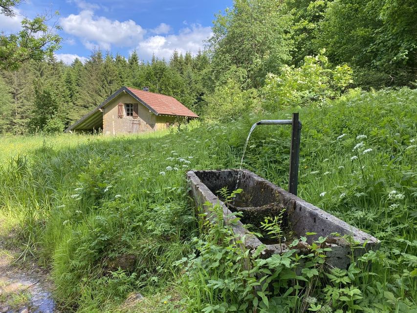 Boucle Cascade du Géhard — Étang de Villerain — photo 57