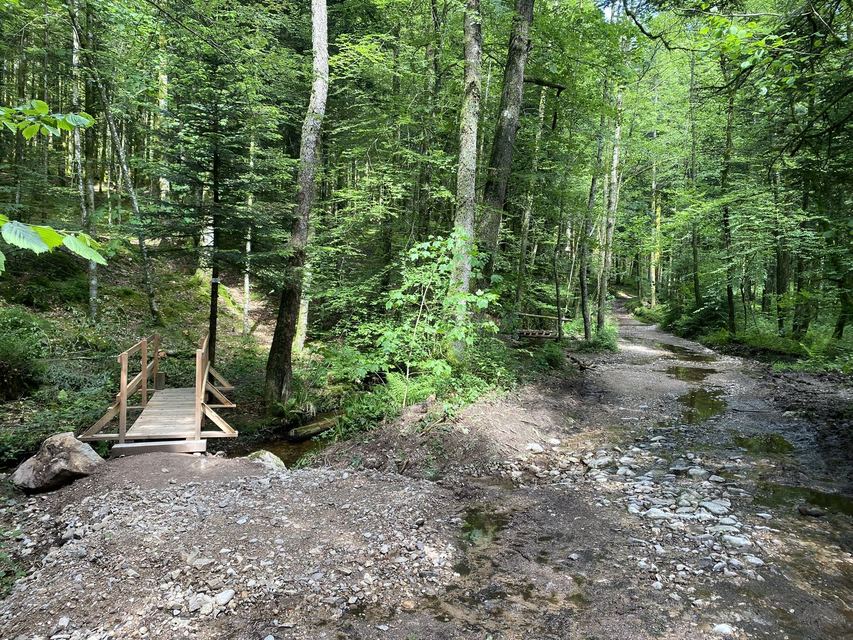 Boucle Cascade du Géhard — Étang de Villerain — photo 58