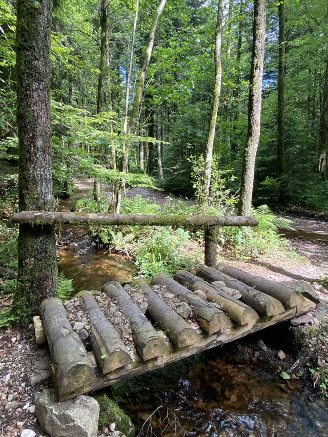 Boucle Cascade du Géhard — Étang de Villerain — photo 15