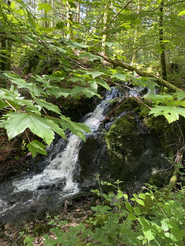 Boucle Cascade du Géhard — Étang de Villerain — photo 8
