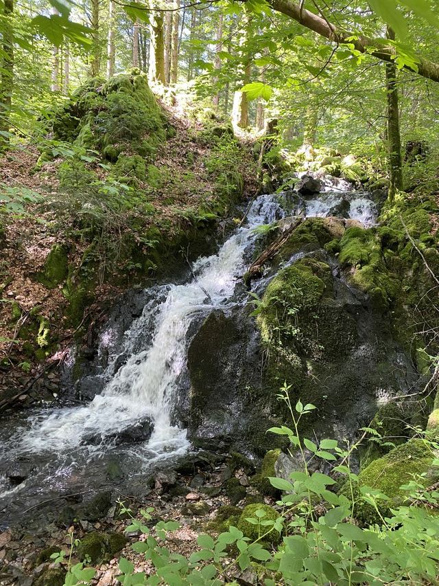 Boucle Cascade du Géhard — Étang de Villerain — photo 59