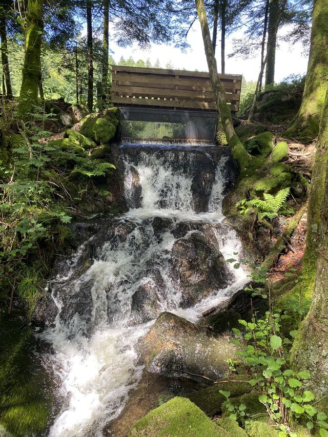 Boucle Cascade du Géhard — Étang de Villerain — photo 7