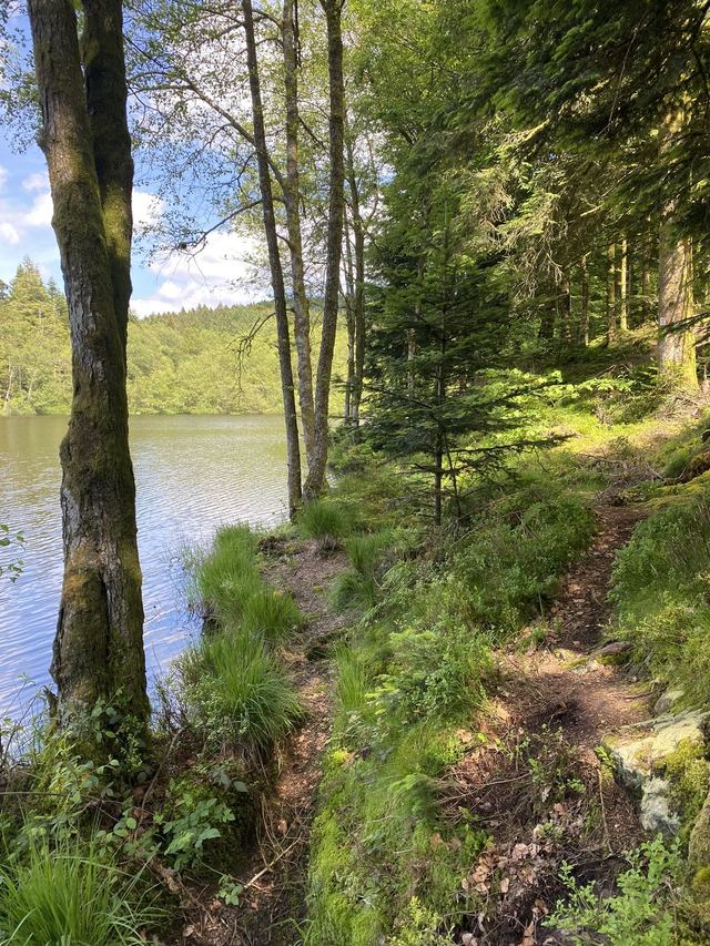 Boucle Cascade du Géhard — Étang de Villerain — photo 62