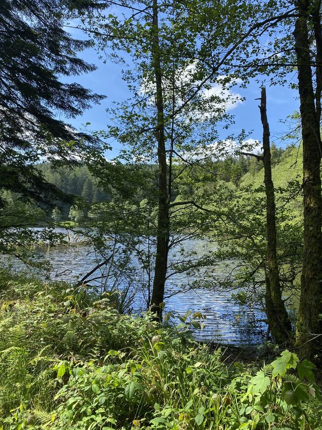 Boucle Cascade du Géhard — Étang de Villerain — photo 64