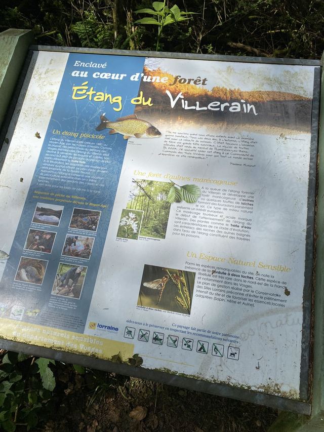 Boucle Cascade du Géhard — Étang de Villerain — photo 66