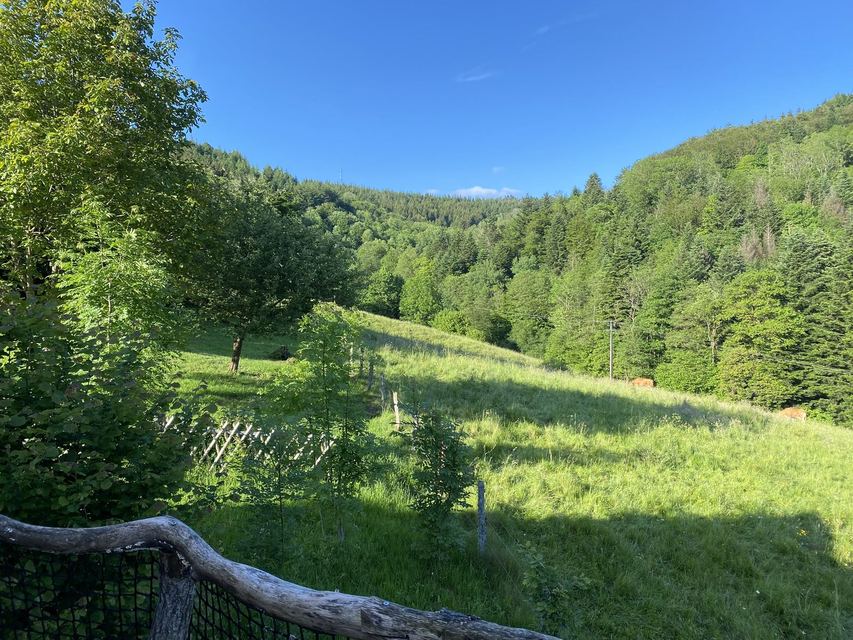 Boucle Cascade du Géhard — Étang de Villerain — photo 70
