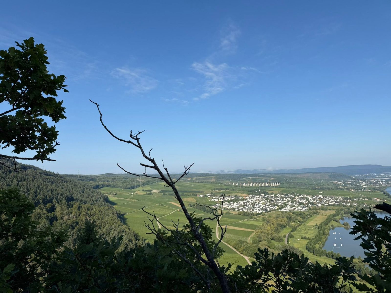 Mehringer Schweiz