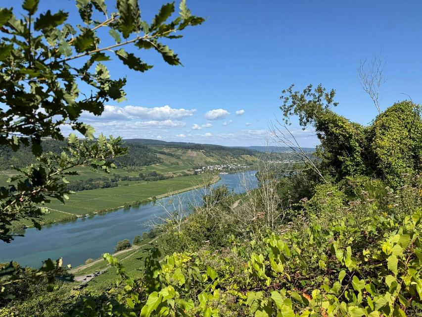 Mehringer Schweiz — photo 2