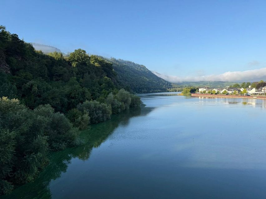 Mehringer Schweiz — photo 3