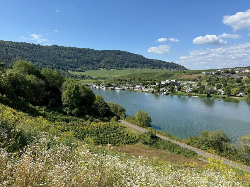 Mehringer Schweiz — photo 5