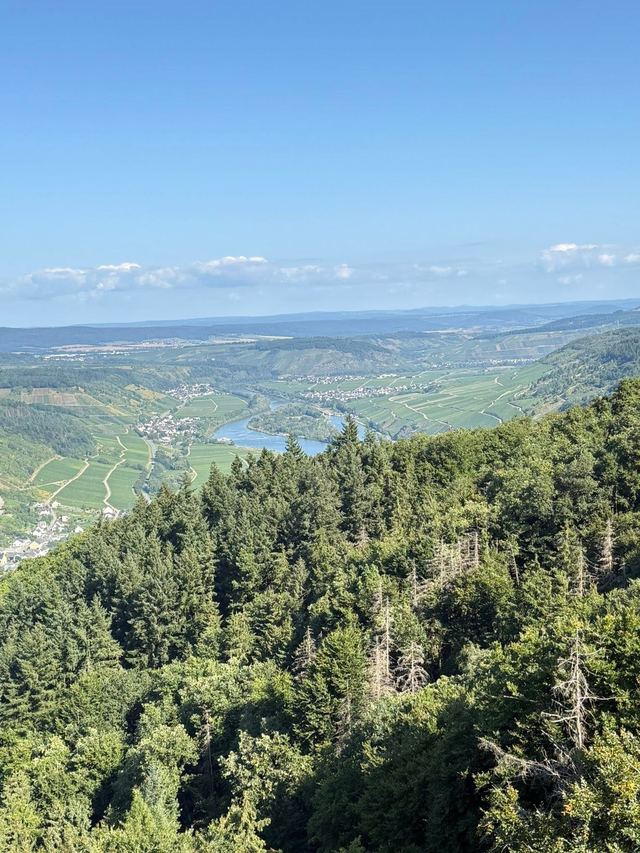 Mehringer Schweiz — photo 7