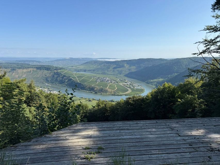 Mehringer Schweiz — photo 8