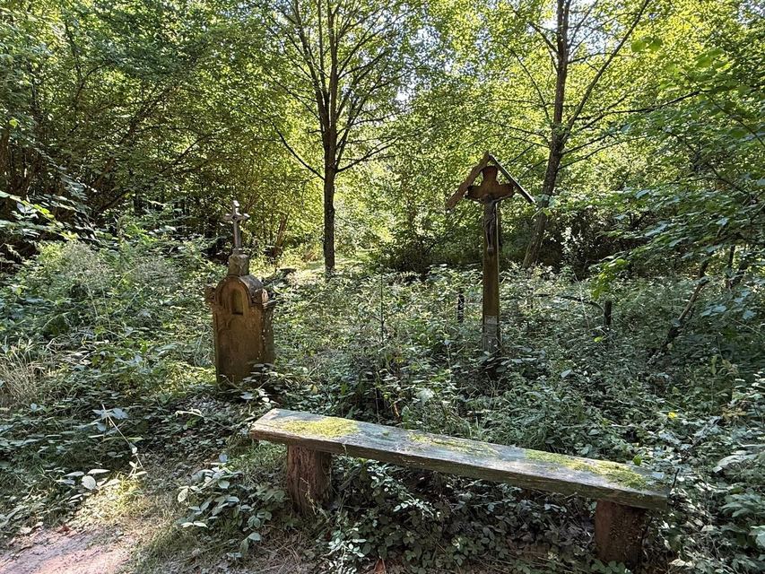 Mehringer Schweiz — photo 10