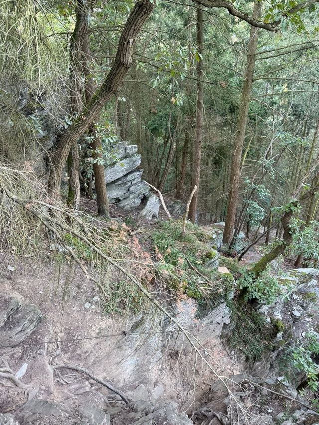 Mehringer Schweiz — photo 11