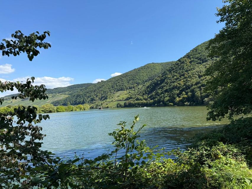 Mehringer Schweiz — photo 12
