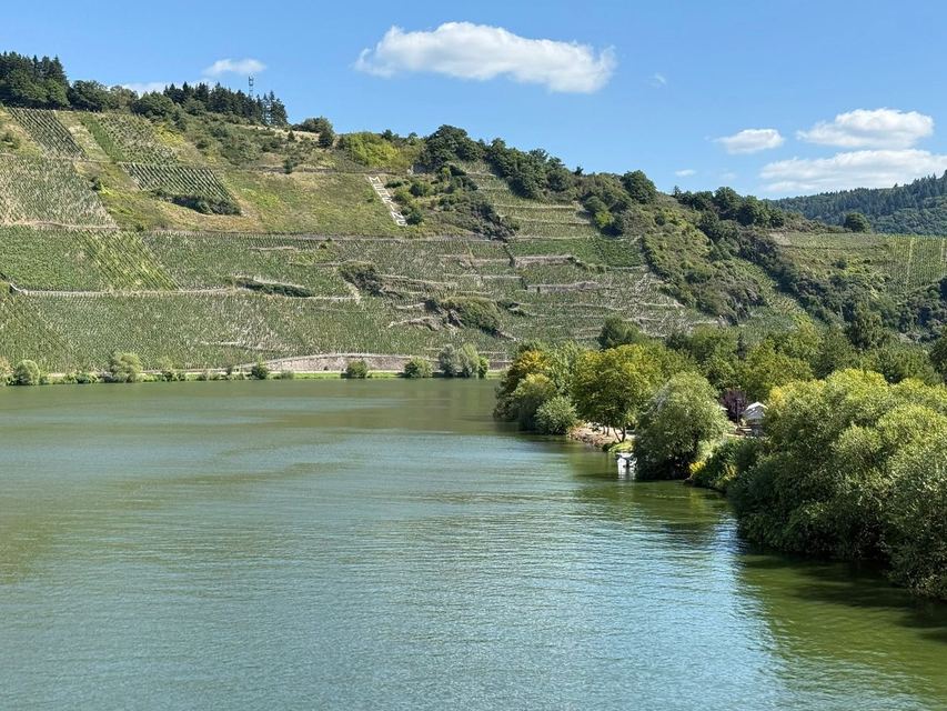 Mehringer Schweiz — photo 14