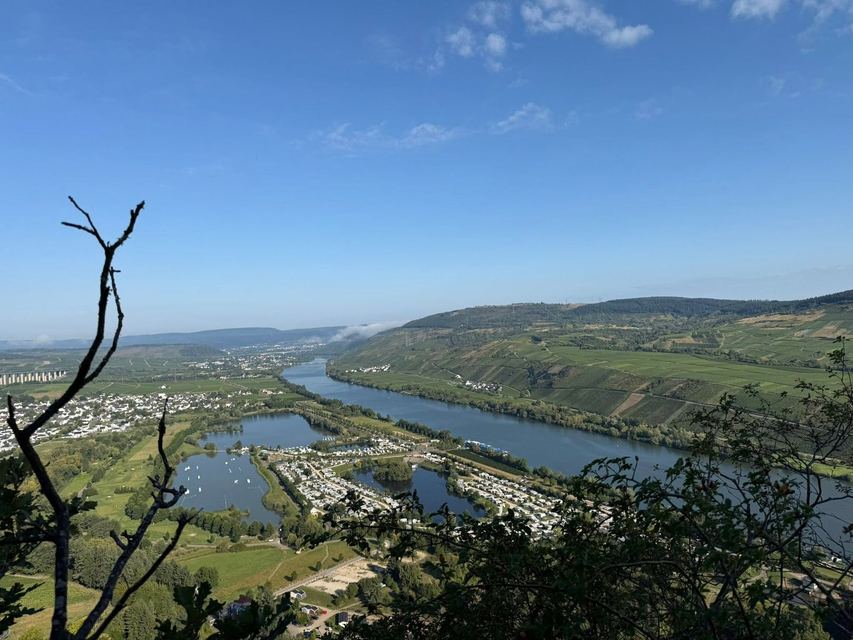 Mehringer Schweiz — photo 15