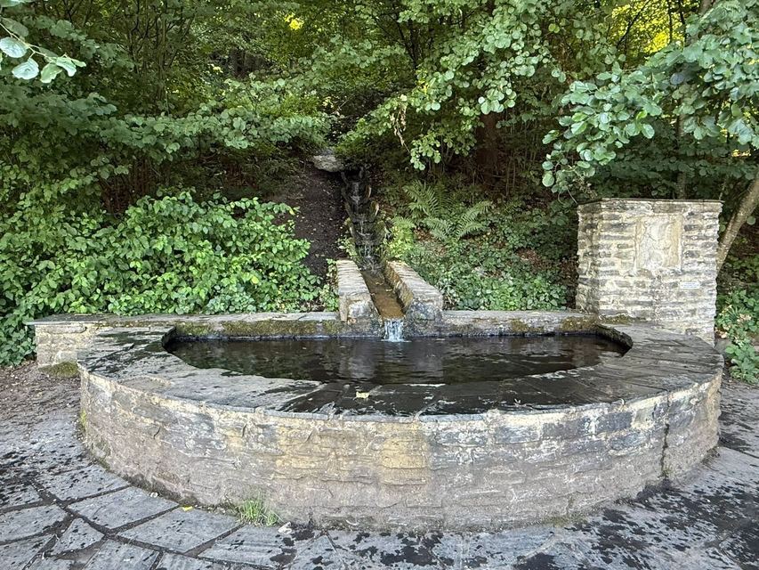 Mehringer Schweiz — photo 17