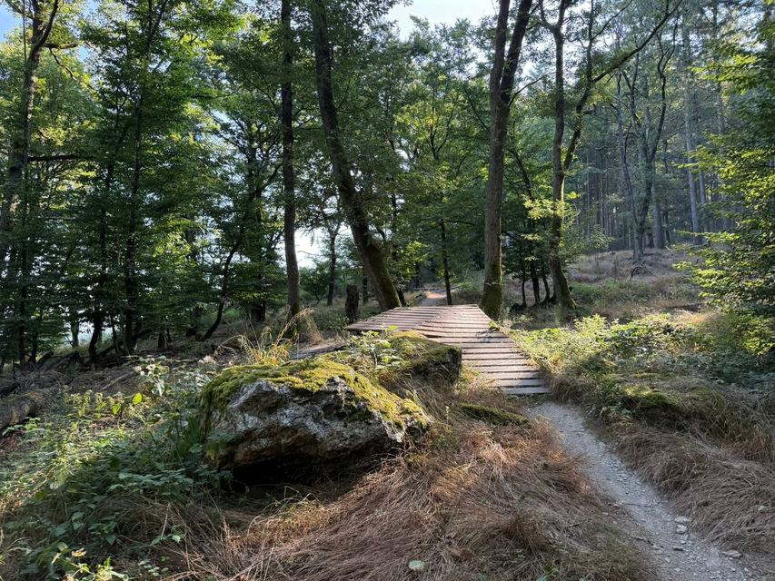 Mehringer Schweiz — photo 18