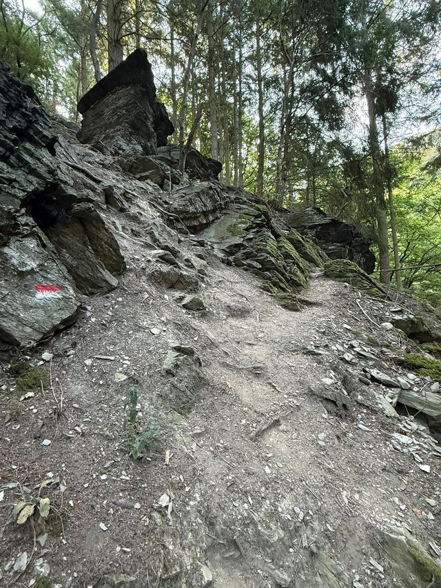 Mehringer Schweiz — photo 19