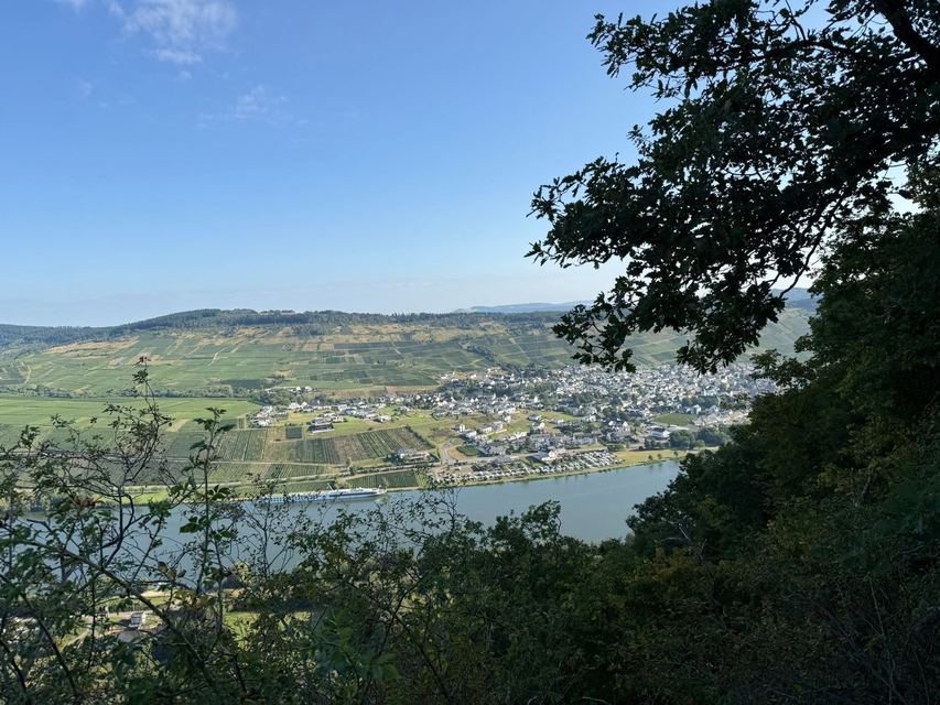 Mehringer Schweiz — photo 20