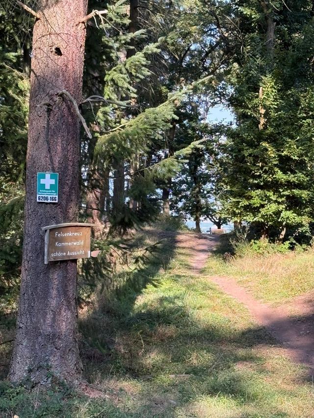 Mehringer Schweiz — photo 21