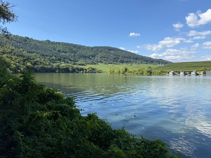 Mehringer Schweiz — photo 23