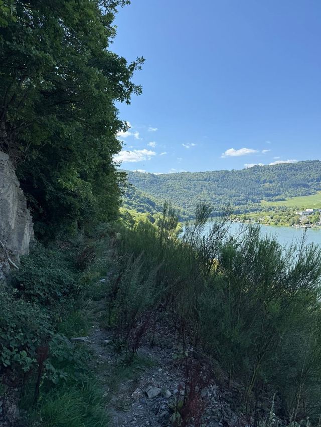 Mehringer Schweiz — photo 24