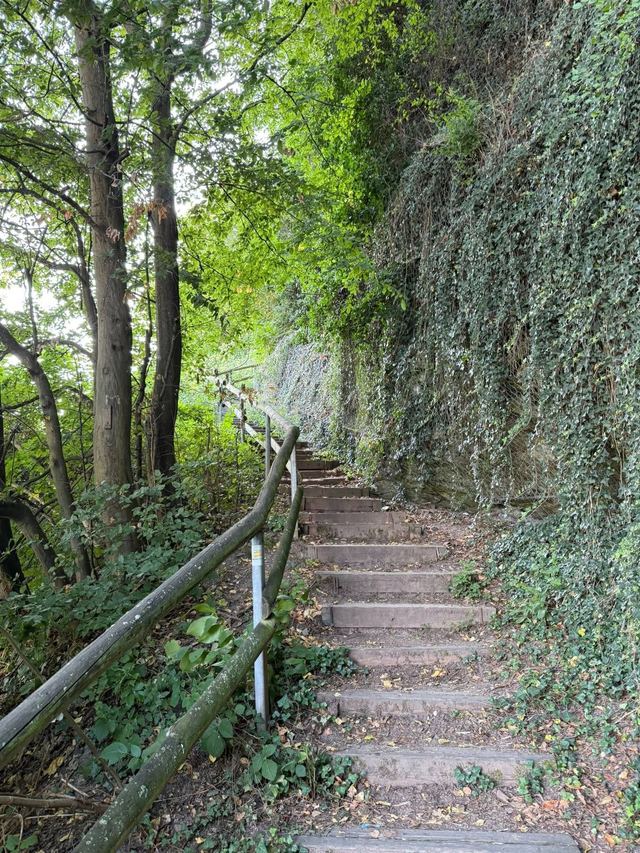 Mehringer Schweiz — photo 25