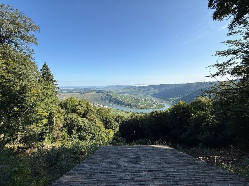 Mehringer Schweiz — photo 26
