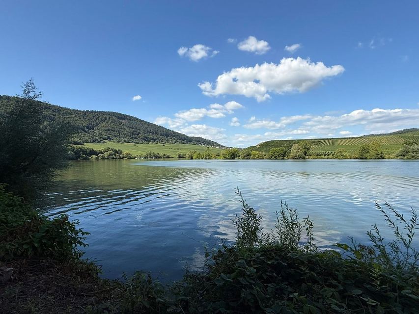 Mehringer Schweiz — photo 28