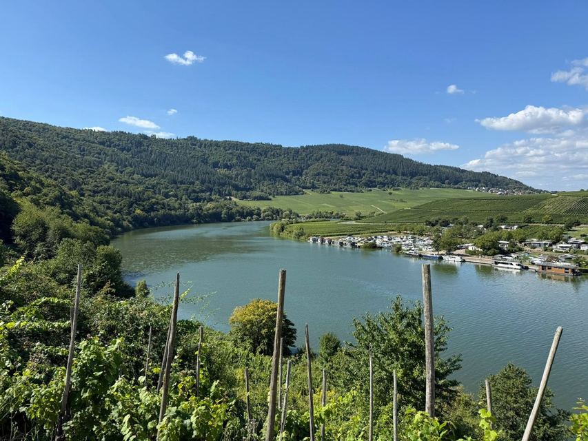 Mehringer Schweiz — photo 30