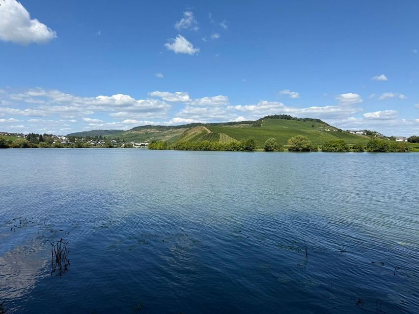 Mehringer Schweiz — photo 31