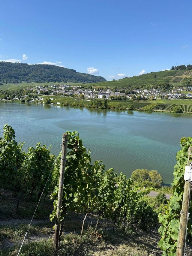 Mehringer Schweiz — photo 32